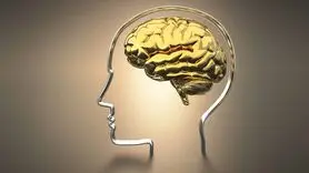چطور مغز از خواب بیدار می‌شود؟ رمز هوشیاری و انرژی صبحگاهی را کشف کنید!