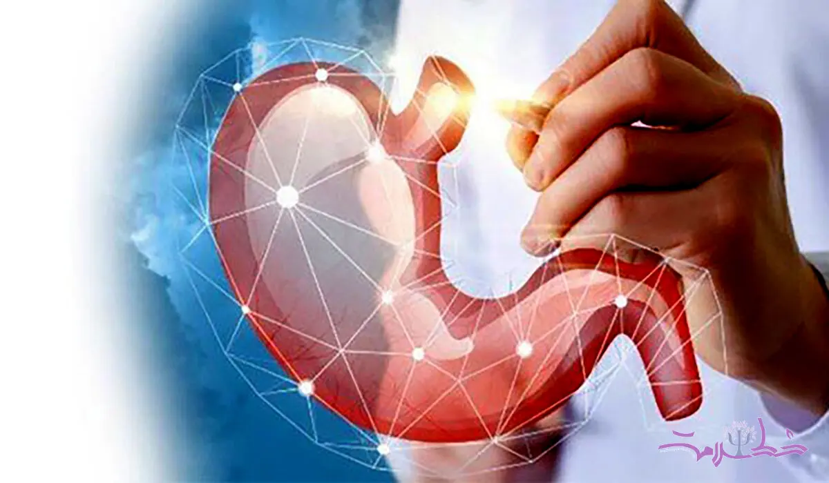  گرم‌ مزاجان معده قوی‌تری دارند یا سرد مزاجان؟