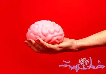 ذهن چیست و چه تفاوتی با مغز دارد؟