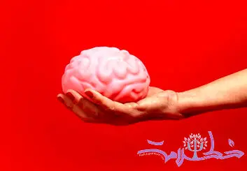 ذهن چیست و چه تفاوتی با مغز دارد؟