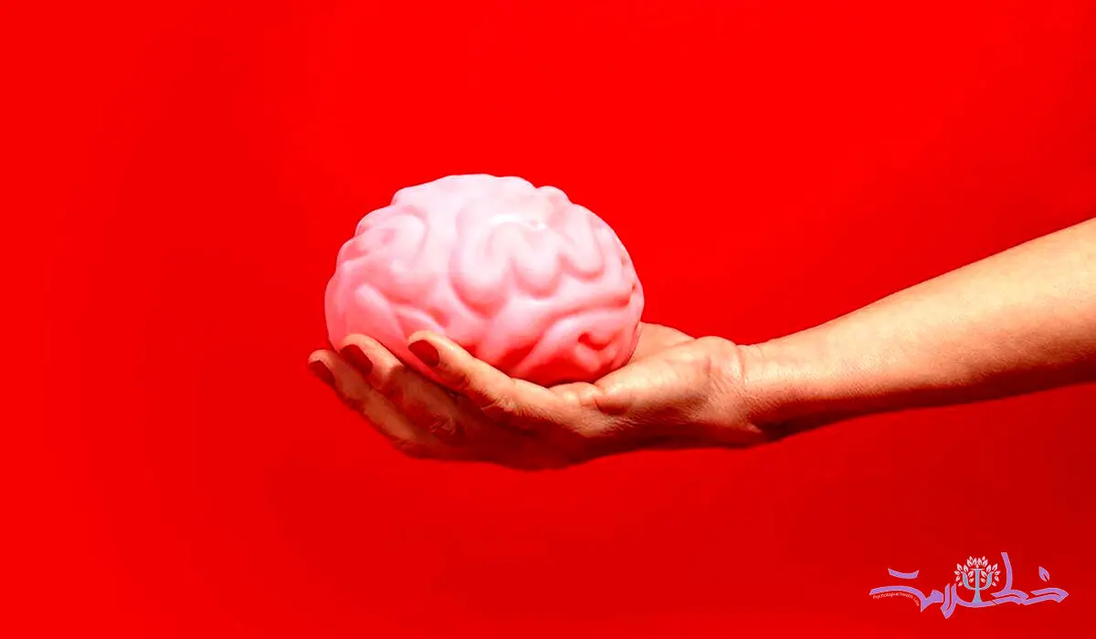 ذهن چیست و چه تفاوتی با مغز دارد؟