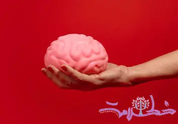 ذهن چیست و چه تفاوتی با مغز دارد؟