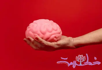ذهن چیست و چه تفاوتی با مغز دارد؟