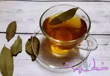 فواید شگفت‌انگیز نوشیدن آب برگ بو با معده خالی