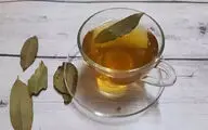 نوشیدن آب برگ بو با معده خالی؛ واقعاً چه فوایدی دارد؟