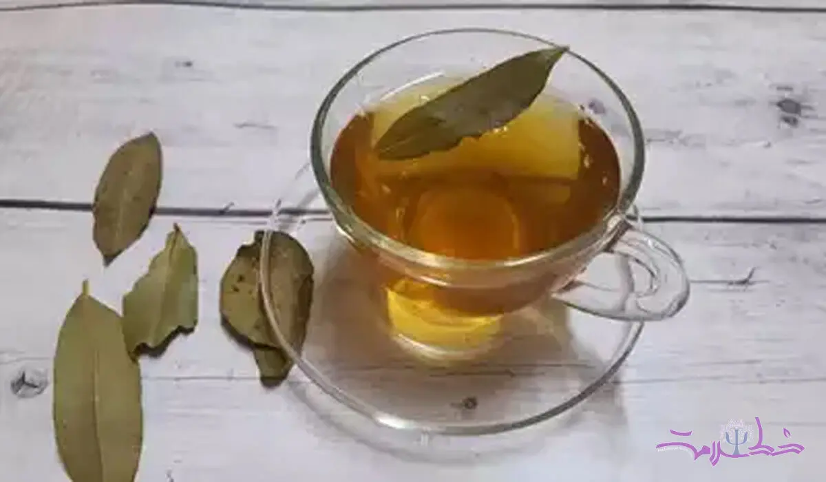 فواید شگفت‌انگیز نوشیدن آب برگ بو با معده خالی