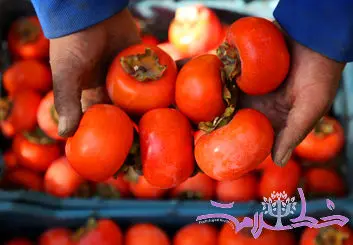 با فواید و مضرات خرمالو بیشتر آشنا شوید