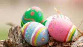 آموزش مرحله‌به‌مرحله رنگ کردن طبیعی تخم مرغ به شش سبک