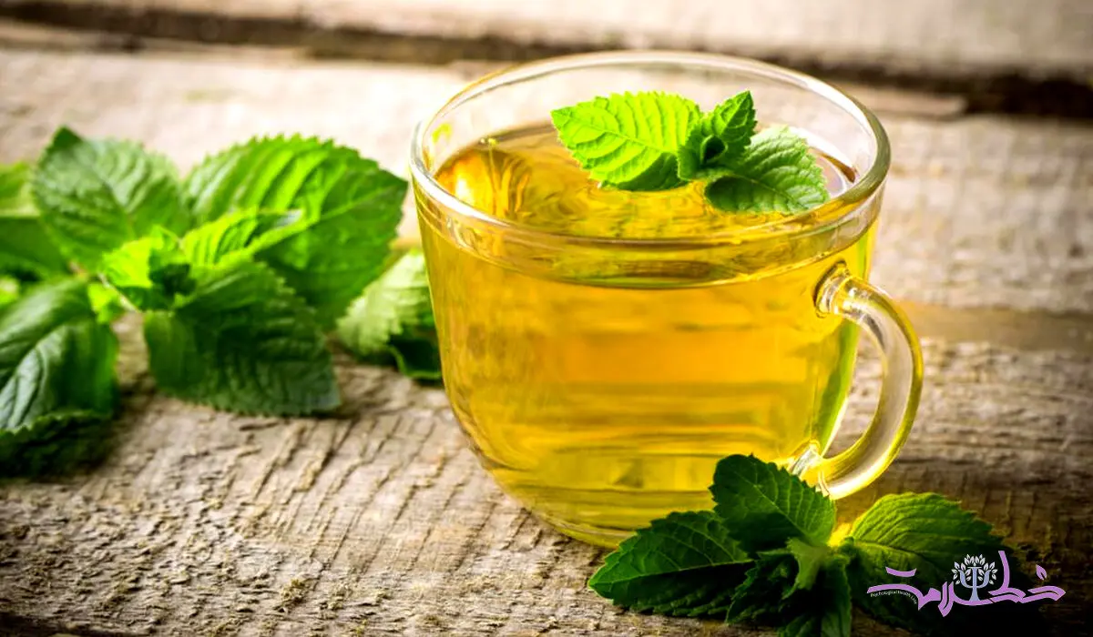 دمنوش نعناع خواص زیادی دارد که از آن بی خبرید