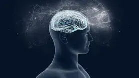 هوش مصنوعی نیمکره ای از مغز که جدیدا کشف شده است / نیمکره سوم مغز برای چه کاری است ؟