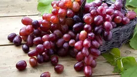 چهار میوه ای که شب‌ها باید خورد