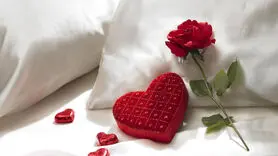 سفر علمی به دنیای مغز و هورمون‌ها در ارگاسم 