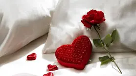 سفر علمی به دنیای مغز و هورمون‌ها در ارگاسم 