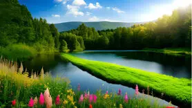 دلیل تلخ دنیای رنگارنگ کودکی