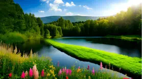دلیل تلخ دنیای رنگارنگ کودکی