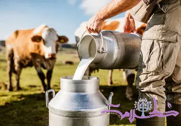 چرا مصرف شیر گاو قبل از یک سالگی ممنوع است؟/ خطرات باورنکردنی شیر گاو برای کوچولوها