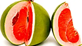 خواص دارابی برای سلامتی