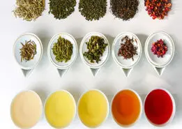 چای هر گروه خونی مشخص شد+ شما چه گروه خونی دارید؟