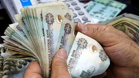 درهم امارات چند؟ / آخرین قیمت درهم امارات امروز شنبه 1 دی ماه 1403
