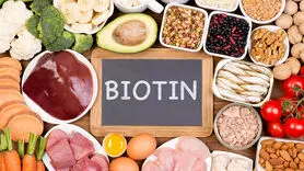۶ ماده غذایی غنی از بیوتین برای کاهش ریزش مو و تقویت ناخن