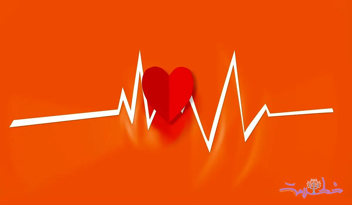  چگونه سلامت قلب می‌تواند از زوال عقل جلوگیری کند؟
