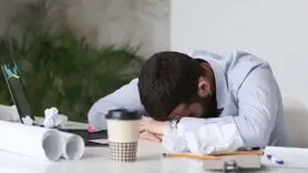 خستگی را با این منوی انرژی زا دور بزنید + متخصصان هاروارد لیست دادند