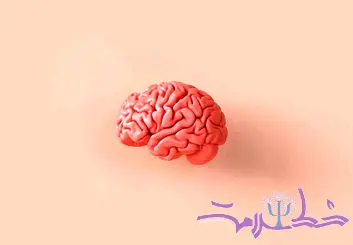 هر خاطره چند بار در مغز کپی و ثبت می شود؟