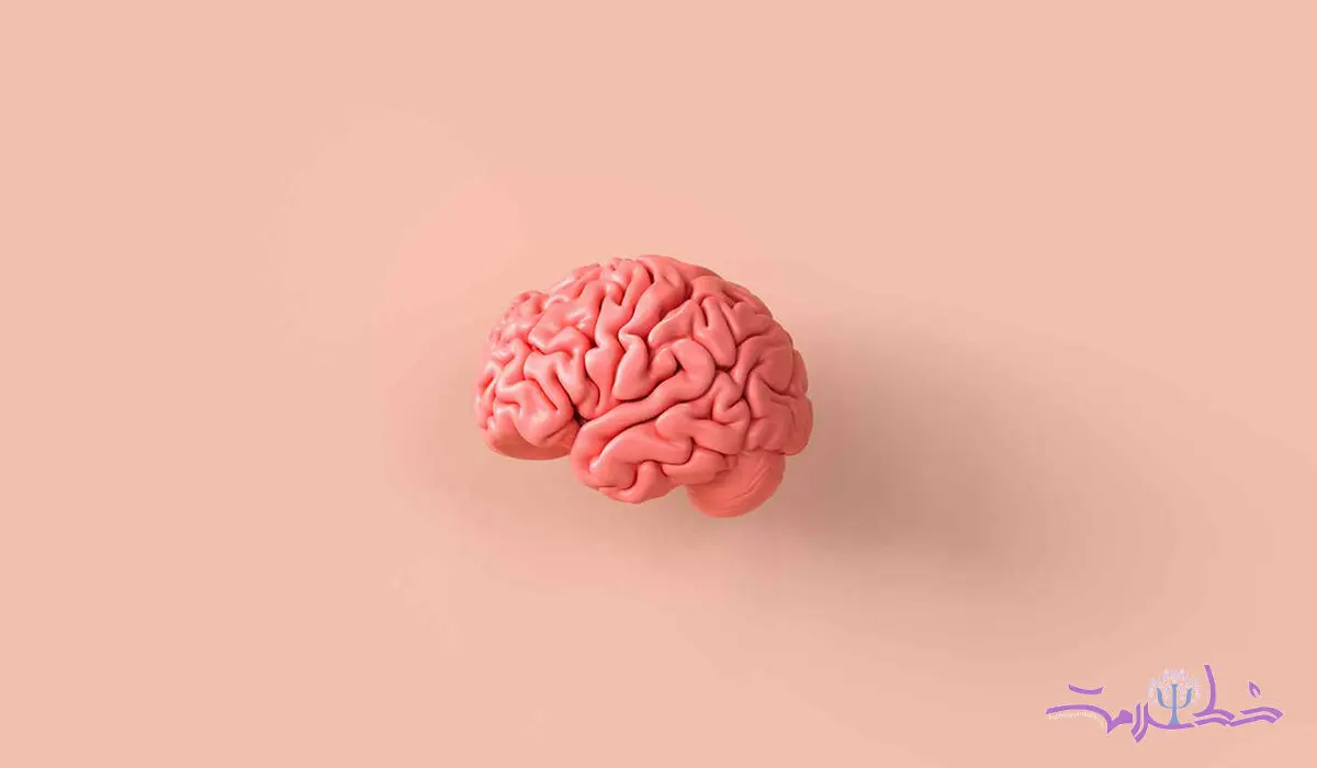 هر خاطره چند بار در مغز کپی و ثبت می شود؟