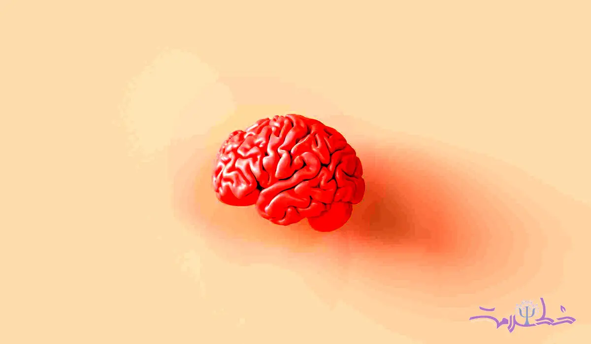 هر خاطره چند بار در مغز کپی و ثبت می شود؟