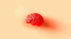 هر خاطره چند بار در مغز کپی و ثبت می شود؟
