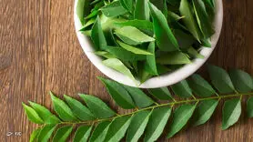 10 فایده برگ کاری برای سلامتی/ از این ادویه غافل نشوید