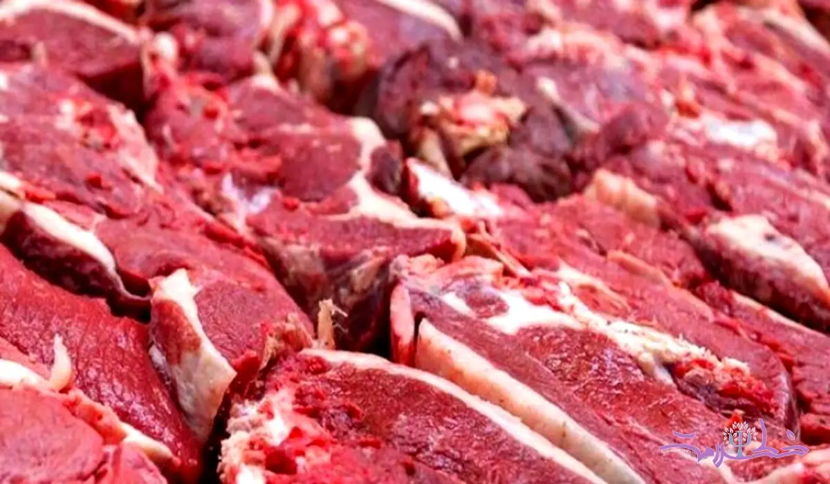  مشکلات روانی و جسمی مصرف کم گوشت در دوره‌های مختلف سنی +طرز تهیه غذاهای جایگزین گوشت