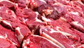  مشکلات روانی و جسمی مصرف کم گوشت در دوره‌های مختلف سنی +طرز تهیه غذاهای جایگزین گوشت