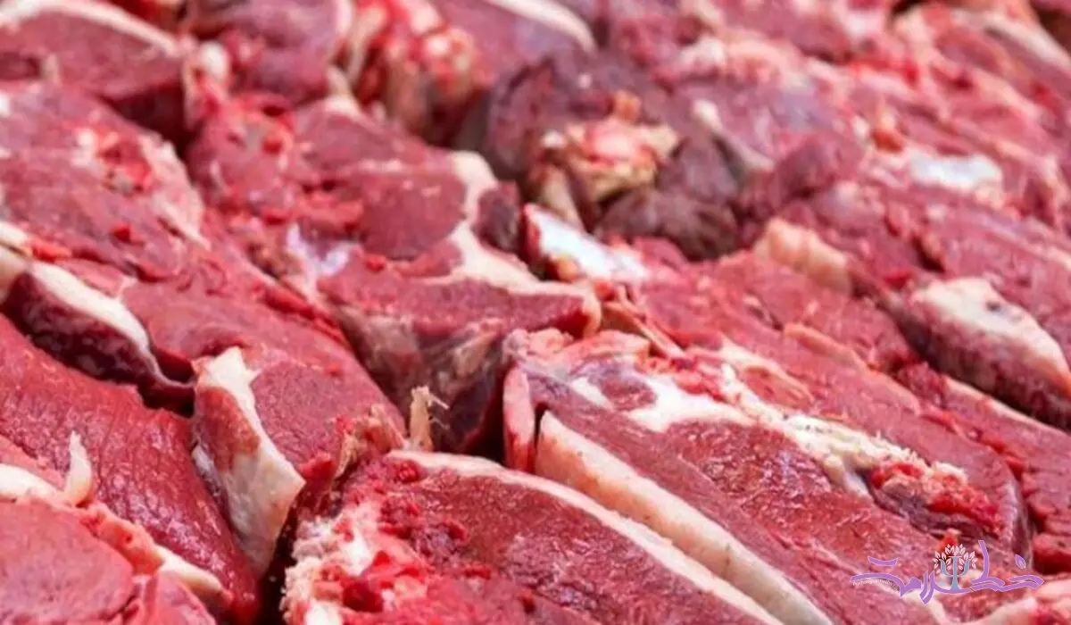  مشکلات روانی و جسمی مصرف کم گوشت در دوره‌های مختلف سنی +طرز تهیه غذاهای جایگزین گوشت