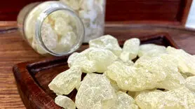 خاصیت معجزه آور و شگفت انگیز کتیرا بر سرطان