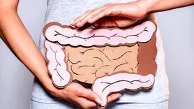 رازهای سلامت روده: راهنمای جامع برای سلامت گوارش و هضم + جدول