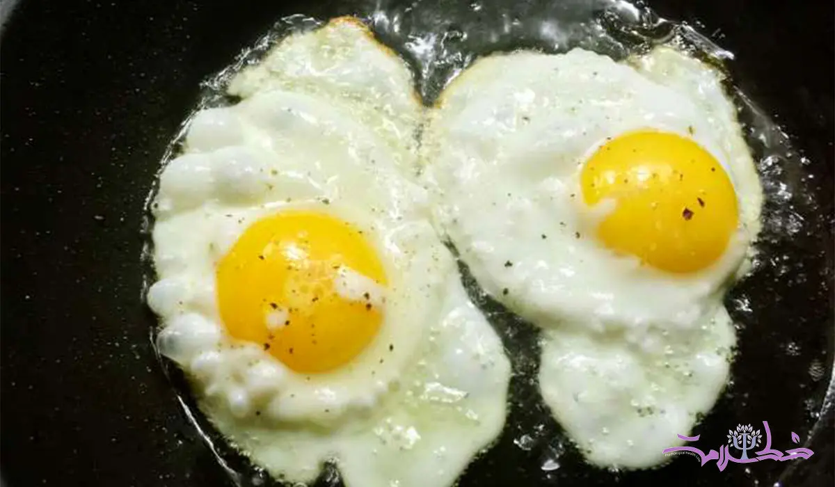 بهترین روش پختن تخم مرغ برای پروتئین چیست؟