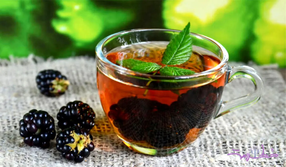 طرز تهیه دمنوش شاه توت با خواص درمانی بی‌نظیر