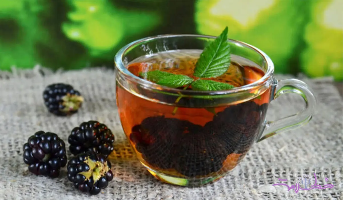 طرز تهیه دمنوش شاه توت با خواص درمانی بی‌نظیر