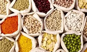 جدول نیاز به پروتئین بر اساس سن + فرمول پروتئین گیری  از منابع گیاهی