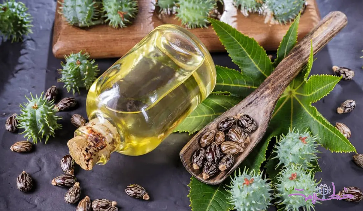 فواید روغن کرچک برای پوست وضخیم شدن مو + فیلم