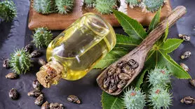فواید روغن کرچک برای پوست وضخیم شدن مو + فیلم