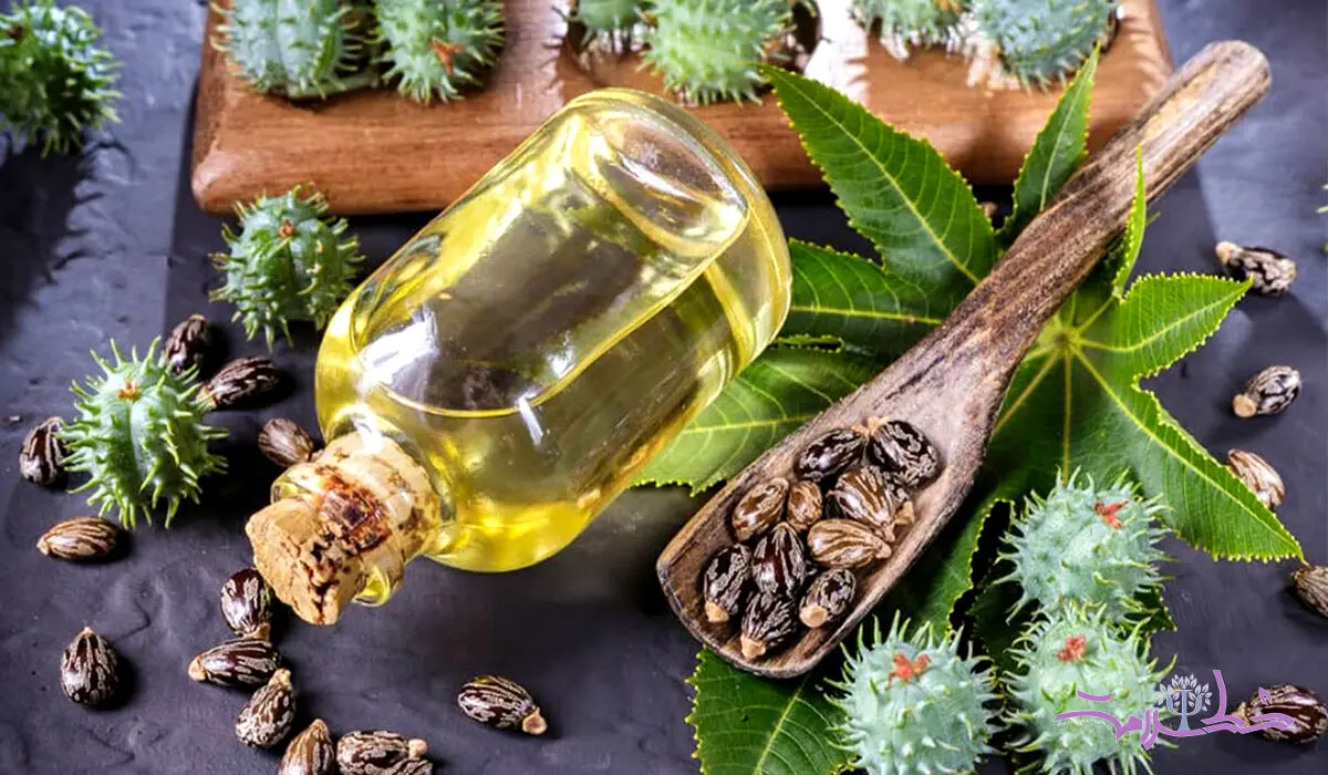 فواید روغن کرچک برای پوست وضخیم شدن مو + فیلم