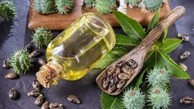 فواید روغن کرچک برای پوست وضخیم شدن مو + فیلم