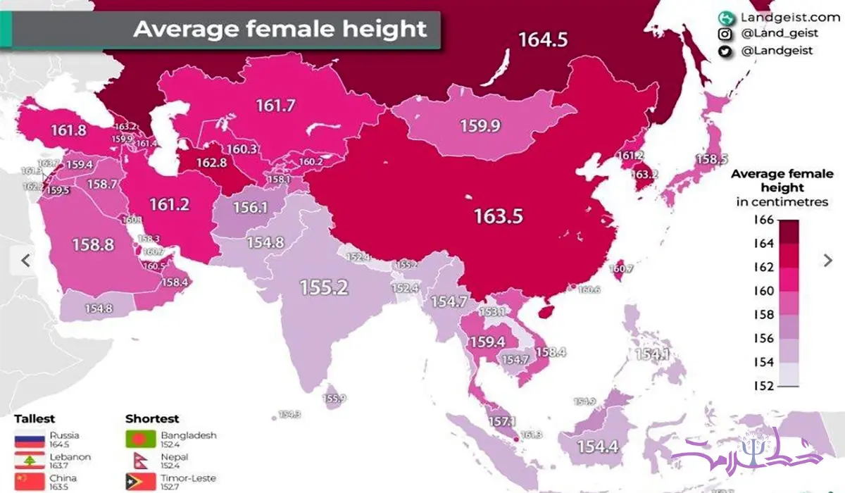 راز قد بلندترین زنان جهان: چرا اروپایی‌ها بلندقدترند؟ + میانگین قد زنان در آسیا