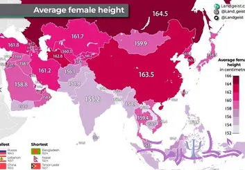 راز قد بلندترین زنان جهان: چرا اروپایی‌ها بلندقدترند؟ + میانگین قد زنان در آسیا