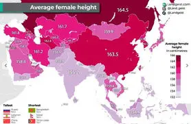 راز قد بلندترین زنان جهان: چرا اروپایی‌ها بلندقدترند؟ + میانگین قد زنان در آسیا