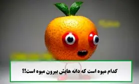 تست هوش/ کدام میوه دانه هایش خارج میوه است؟