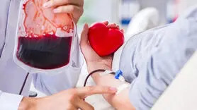 غلظت خون: ۱۵ دمنوش گیاهی برای رقیق کردن خون