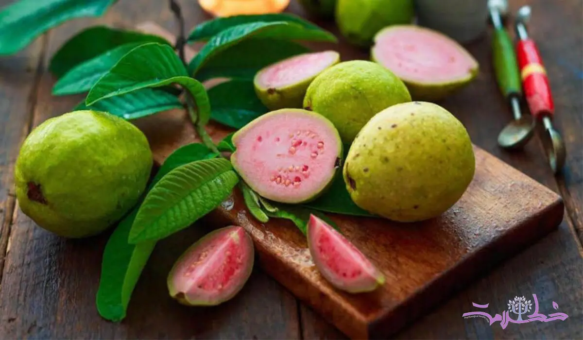 8 خاصیت شگفت انگیز میوه گواوا 